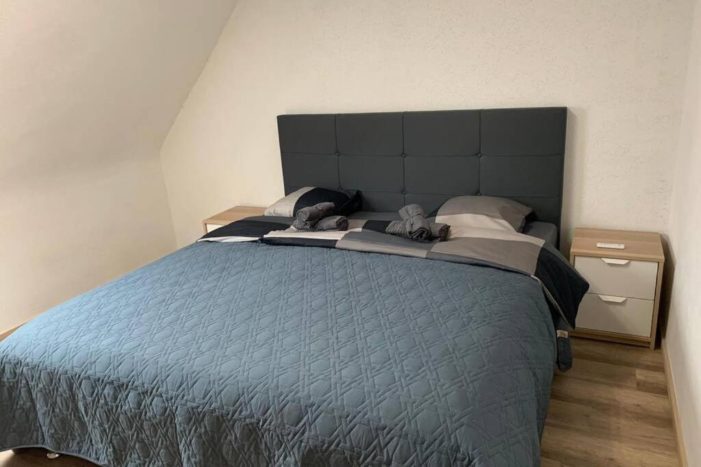 Bgi Wohnung Lahr  Zewnętrze zdjęcie